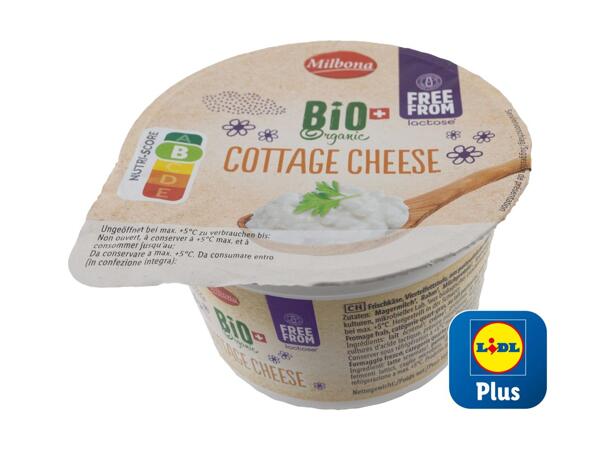 Cottage cheese bio senza lattosio