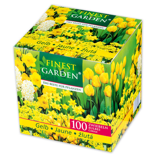 Blumenzwiebeln