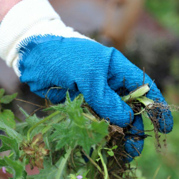 Gants de jardinage