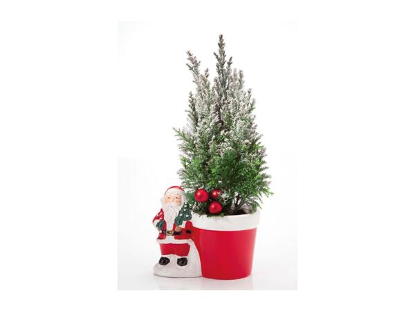 Santa with Conifer