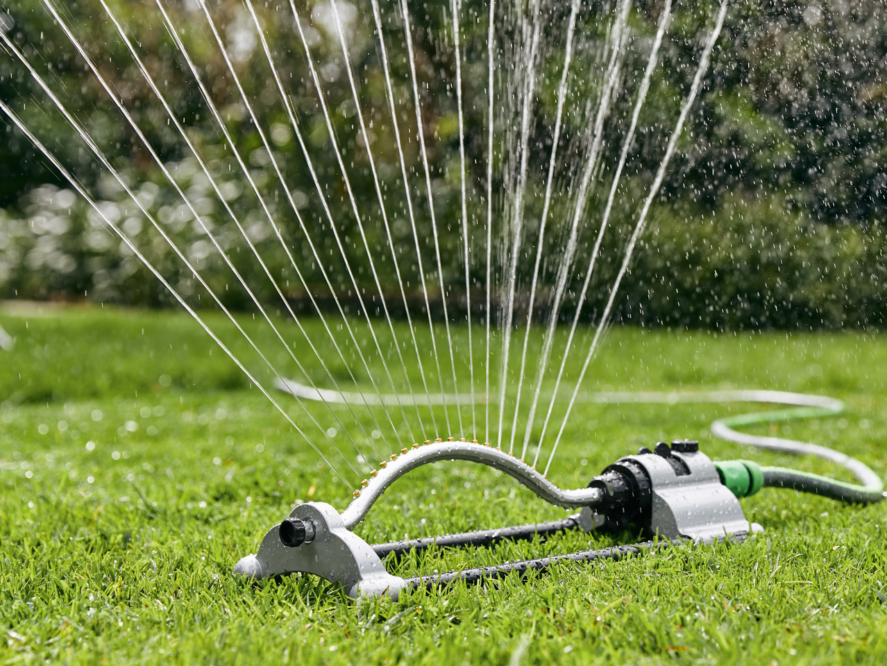 FLORABEST(R) Beregner oder Sprinkler