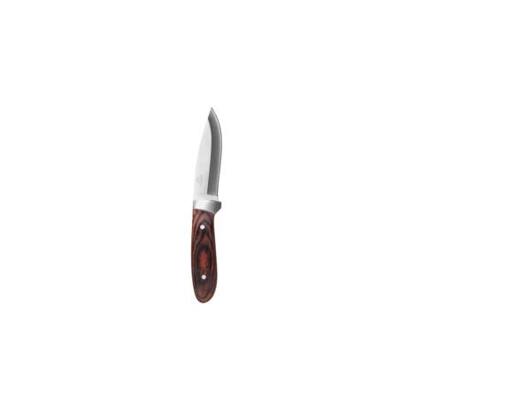 Knife or pocket knife