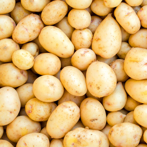 Speisekartoffeln