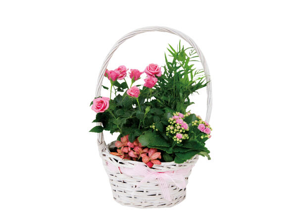 Mother's Day Basket