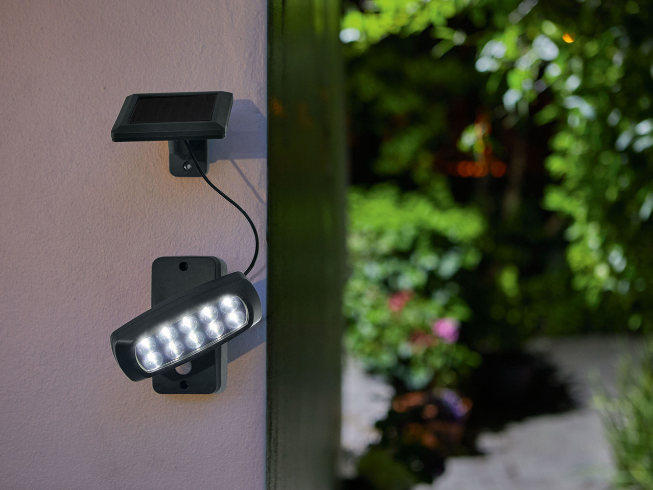 LED Solar Spotlight