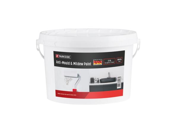 Anti-Mould & Mildew Paint