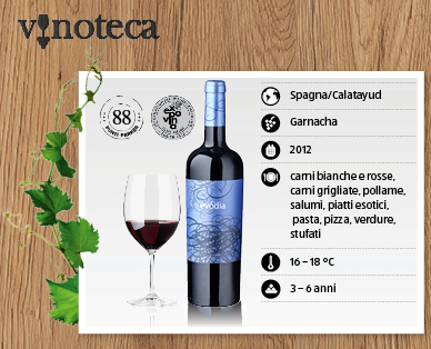 Garnacha Calatayud DO EVODIA