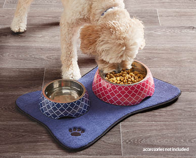 Assorted Pet Accessories