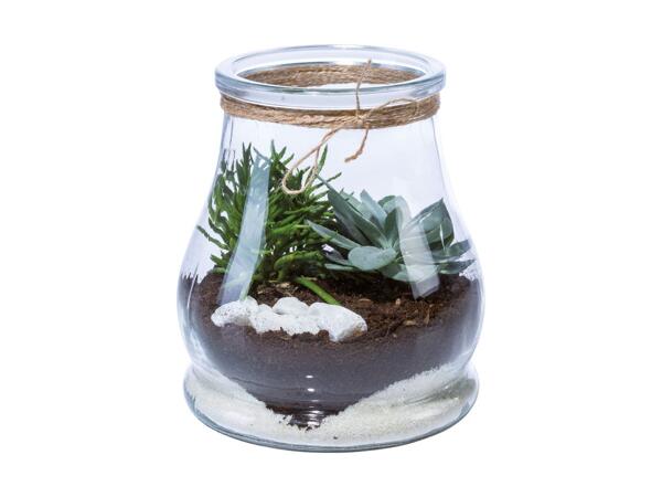 Terrarium Mini Garden