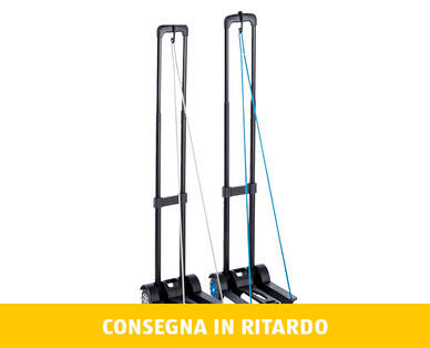 EASY HOME(R) 
 MINI CARRELLO PER TRASPORTO