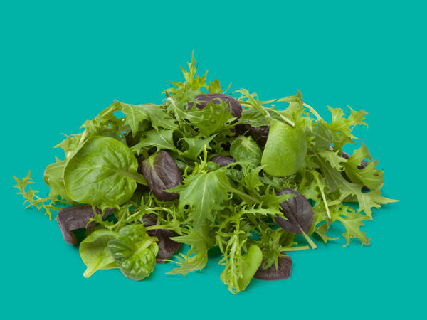 Oaklands Baby Leaf & Herb Salads