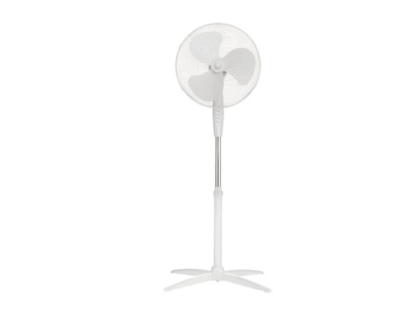 Pedestal Fan