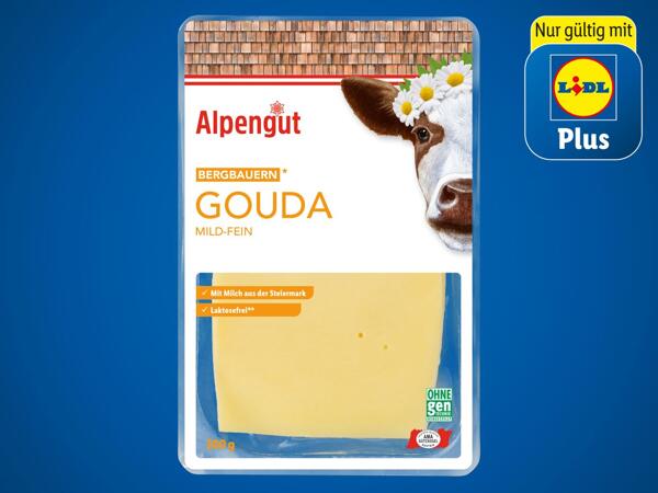 Bergbauern Gouda