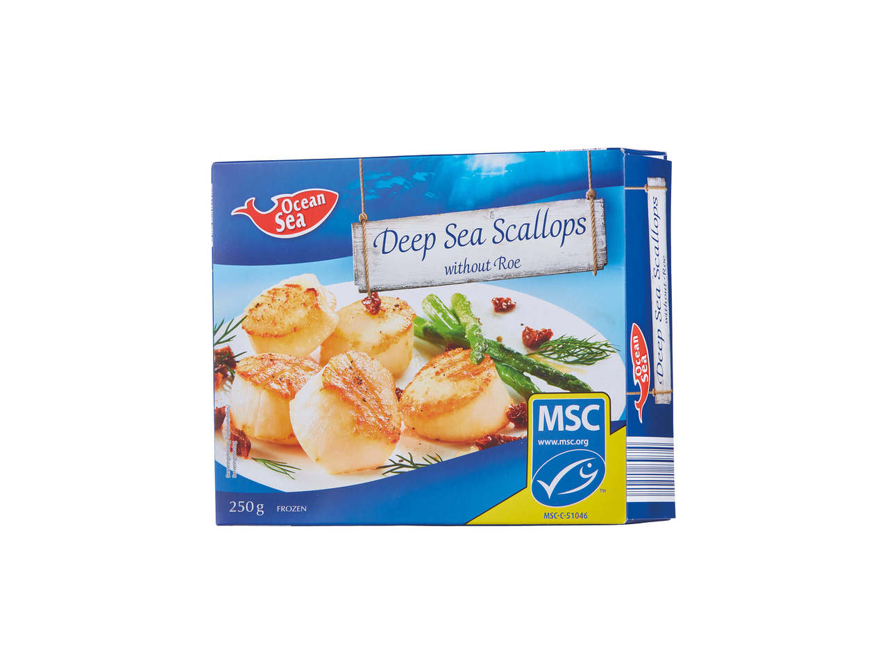 OCEAN SEA Kammuslinger