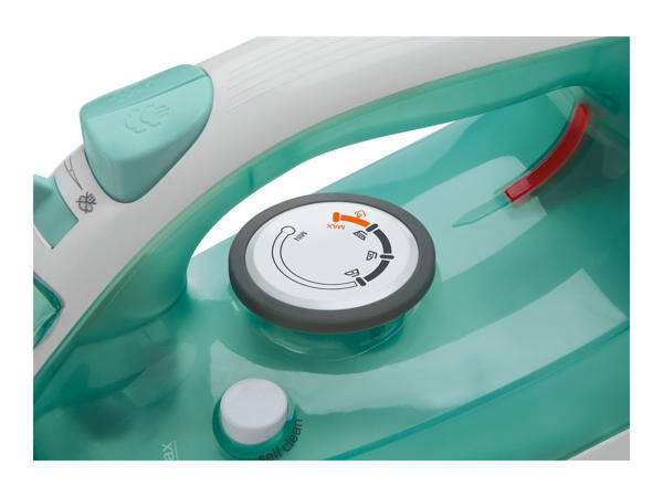 Steam Iron1