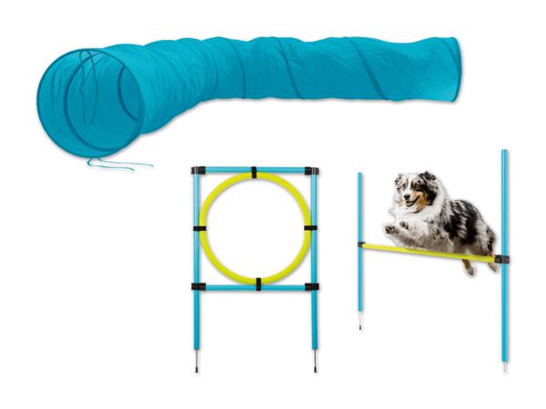 Hunde Agility-Sortiment