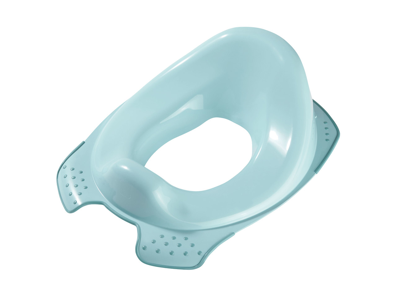 Toilet Training Seat or Potty1