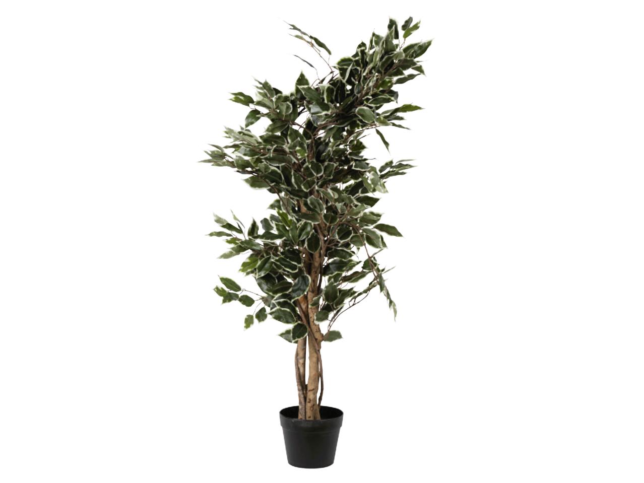 Decorative Tree