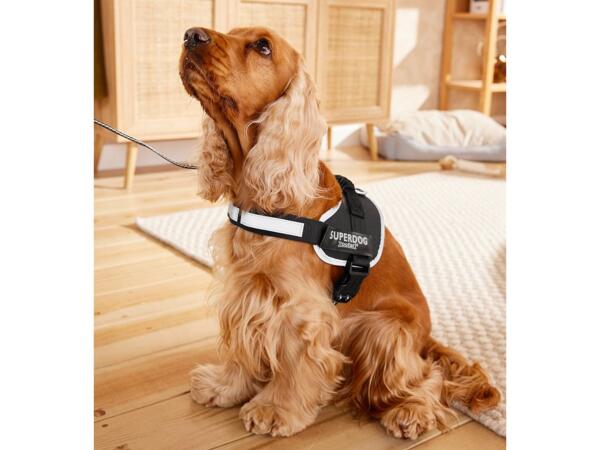 Dog Harness
