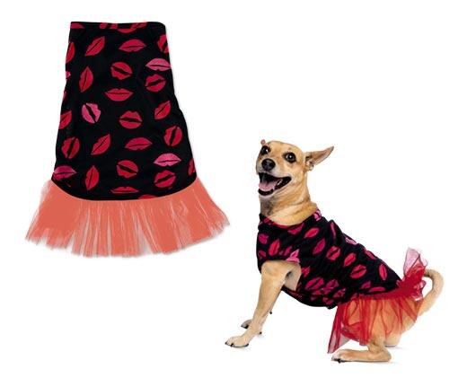 Heart to Tail 
 Valentine's Day Pet Apparel