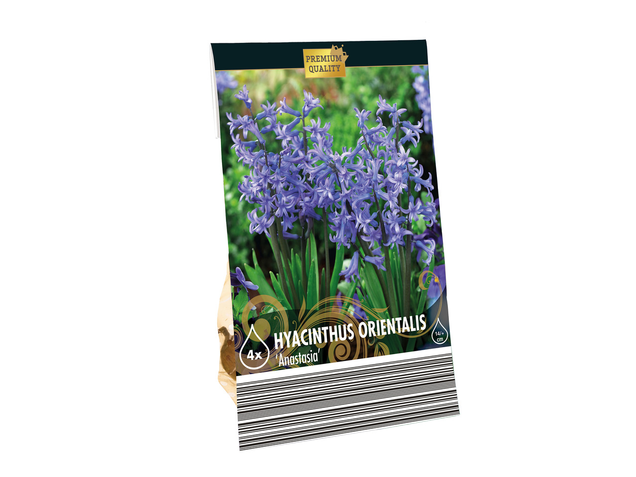 Daffodil Bulbs1