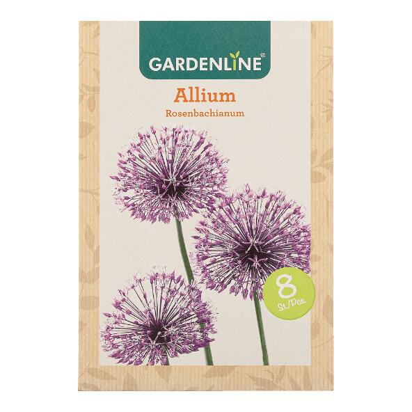 GARDENLINE(R) 				Bulbes à fleurs ail d'ornement
