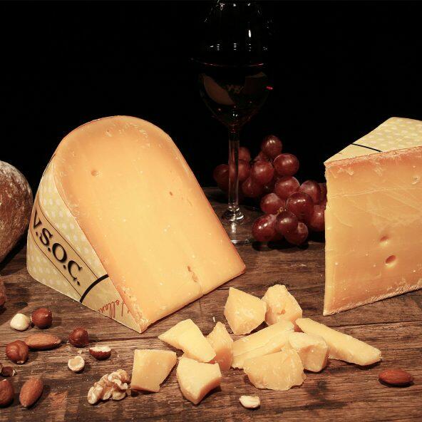 Modnet gouda