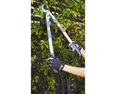 Telescopic Hedge Shears, Anvil Lopper or Bypass Lopper