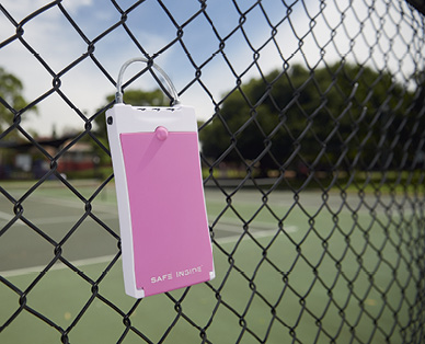 PORTABLE SECURITY CASE