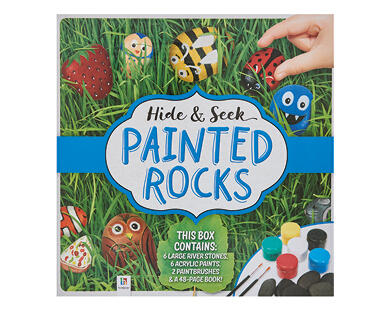 Rock Painting Kit
