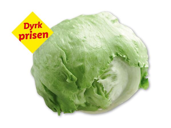 Icebergsalat