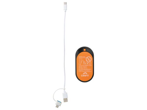 Rechargeable Hand Warmer