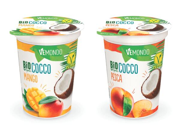 Vegan Dessert with Organic Coconut