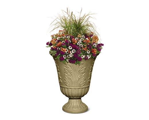 Belavi 
 Urn Planter