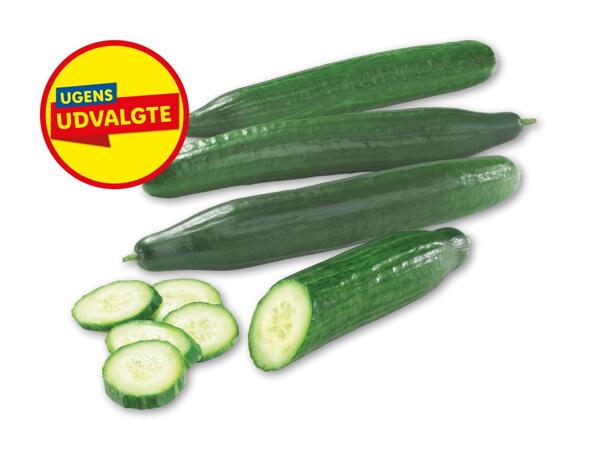 Agurk