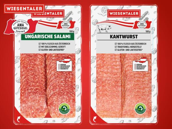 Ungarische Salami oder Kantwurst