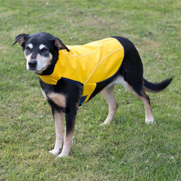 Regnslag til hunde