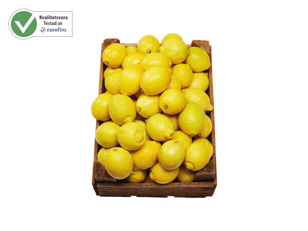 Citroner