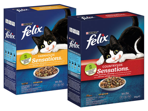 Felix Katzentrockenfutter