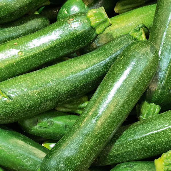 Bio-Zucchini