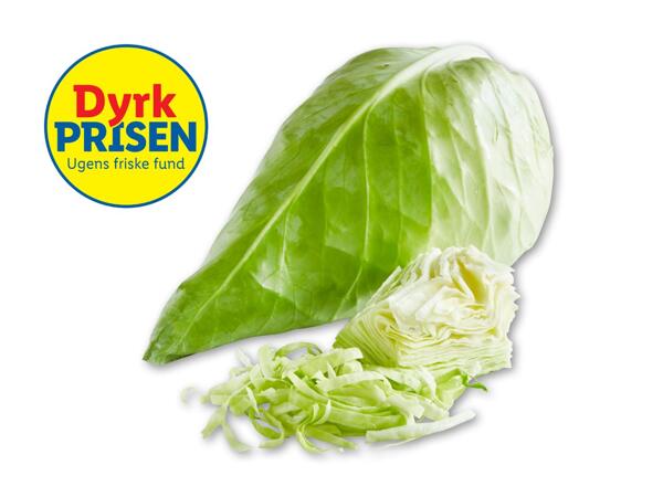 Dansk spidskål
