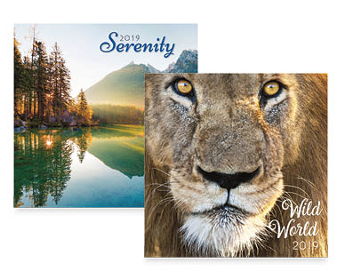 2019 Wall Calendars