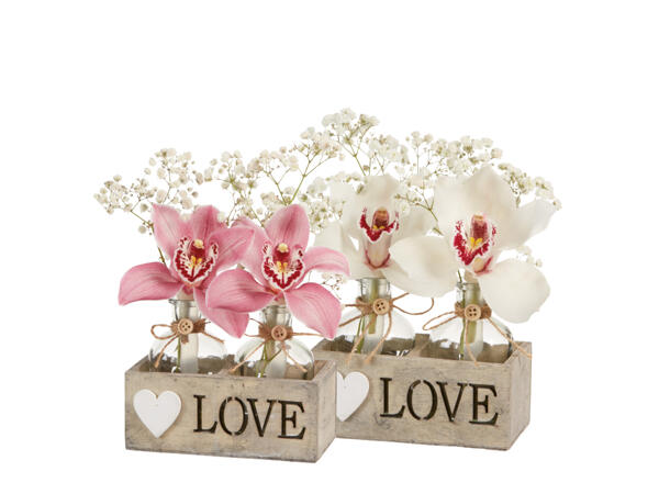 Cymbidium 2-stänglad