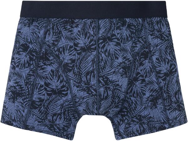 Men's Boxer Briefs