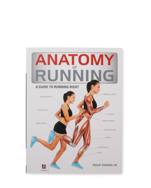 Anatomy Of Running
