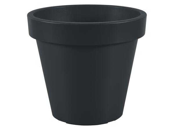 Flowers and Plant Pot 23L