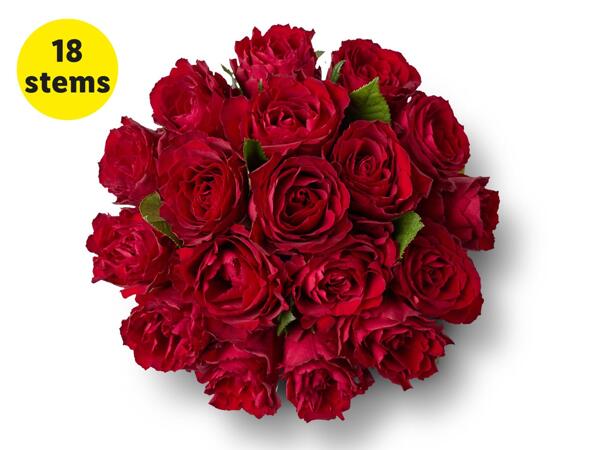 Classic Red Roses