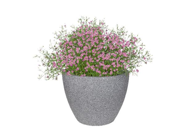 Planter