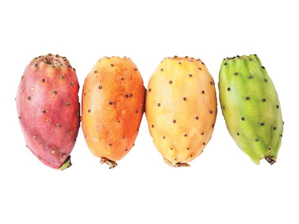 Prickly pears