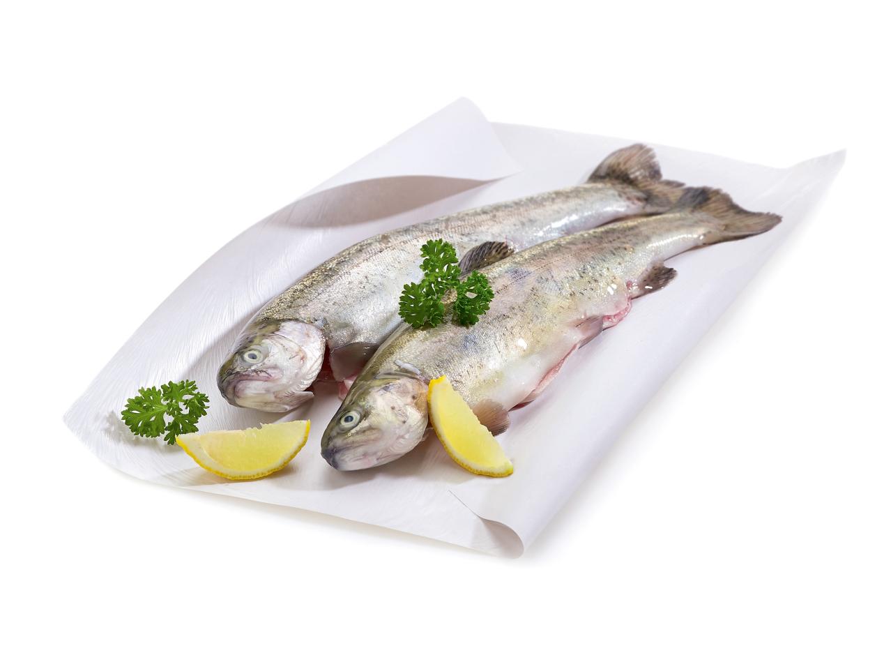 Forel